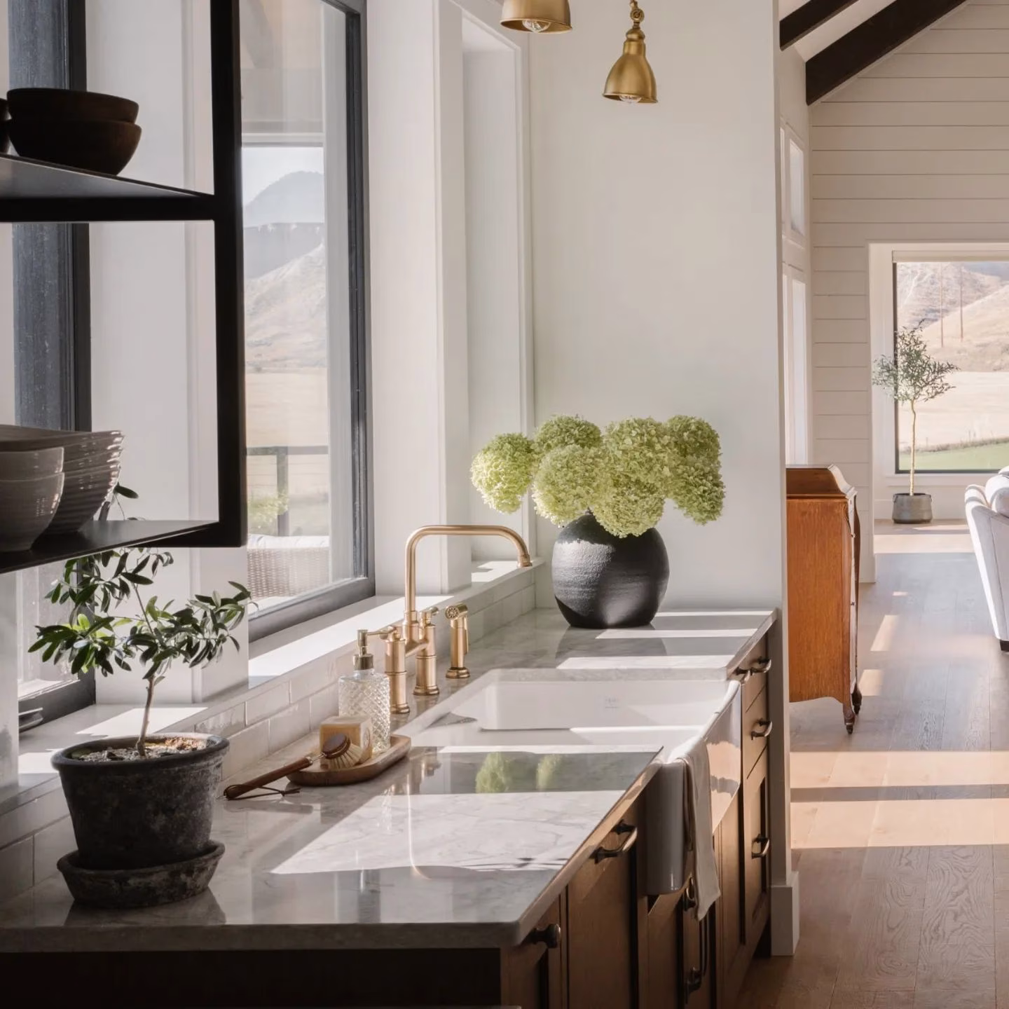 Brizo kitchen plumbing